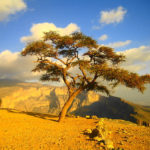 flat,550×550,075,f.u1