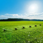 Green Field Landscape