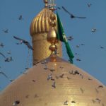 f39365abc131aeb82a033cc8f7538cd7